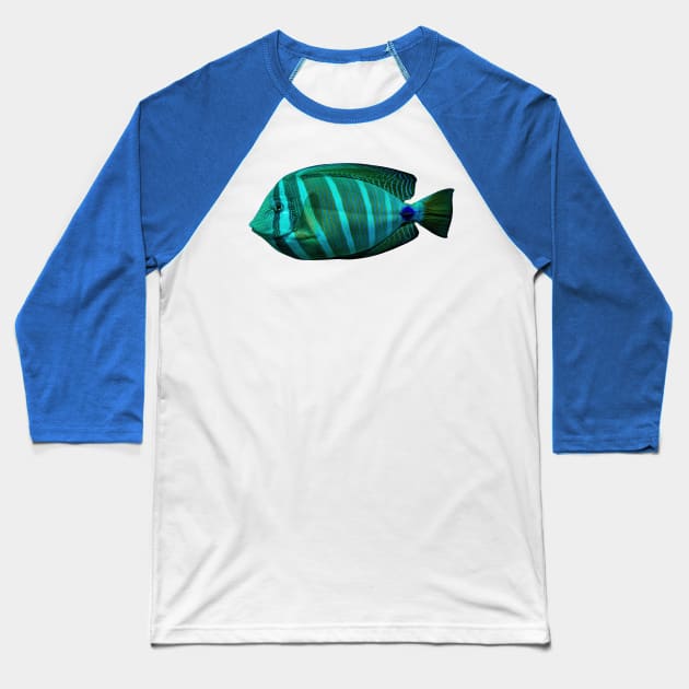 Sailfin tang Baseball T-Shirt by dalyndigaital2@gmail.com